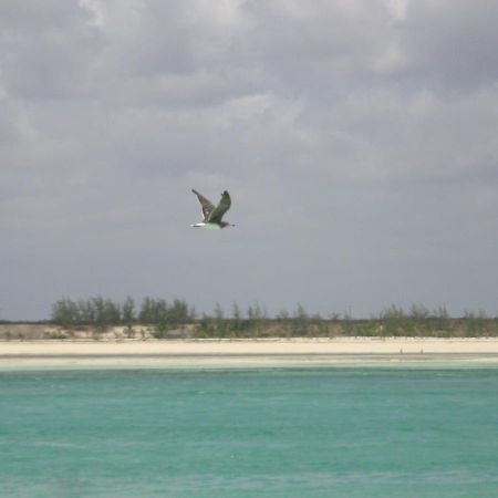 Chiky Villa Watamu Exterior foto